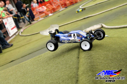 2015 DM 4WD Buggy 4WD Juni